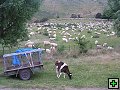 thn_NZ leden-unor 2006 016.jpg